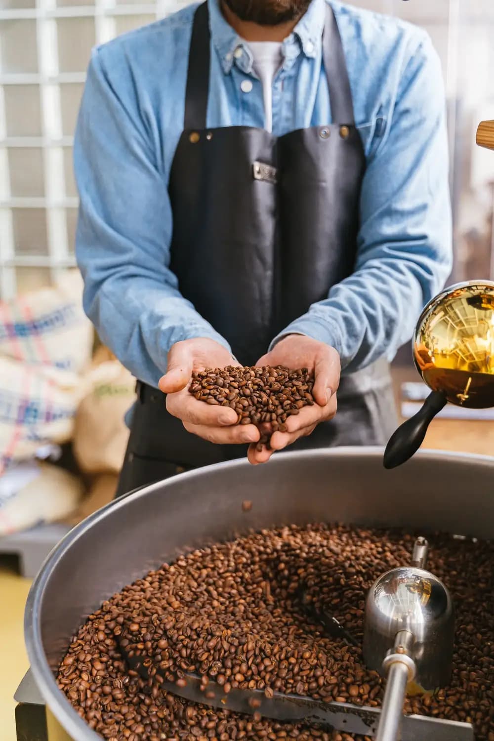 Roaster inspecting a sample of coffee beans by hand